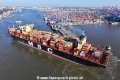 MSC Loreto 270325-15.jpg