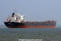 Petalon JG-051014-03.jpg