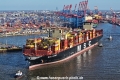 MSC Loreto 270325-32.jpg