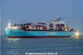 Maersk Monte Linzor SH-101225-01.jpg