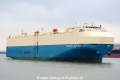 Valiant Ace SH-220122-01.jpg