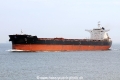 Polymnia JG-070717-01.jpg