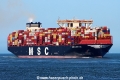 MSC Loreto TL-110824-2.jpg