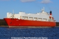 Vinni (OK-030212-2).jpg