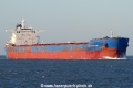 Pontotriton SH-251116-01.jpg