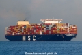 MSC Leni (MS-080423-08).jpg