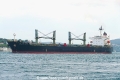 Dalian Star D (OK-190823-1).jpg