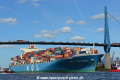 MOL Continuity 160414-03.jpg