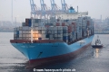 Mette Maersk 030314-06.jpg