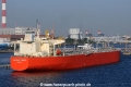 Phoenix Dream OS-130115-07.jpg
