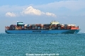 Maersk Charleston OS-301025-12.jpg