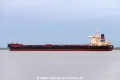 Polymnia (OK-040717-3).jpg