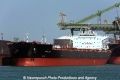 Petalon (MM-010513-1).jpg