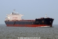 Petalon JG-051014-01.jpg