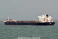 Petalon HK-180114.jpg