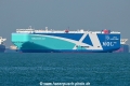 Turquoise Ace OS-211024-1.jpg
