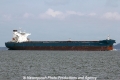 Pioneer (MS-151013-04).jpg