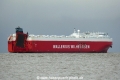 Tysla (KK-250319-2).jpg