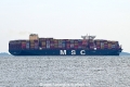 MSC Guelsuen OS-261024-2.jpg