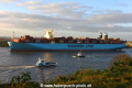 Munich Maersk 271017-12.jpg