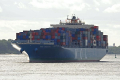 MOL Maestro 310810-01.jpg