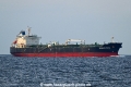 Seaways Rose OS-050425-03.jpg