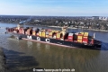 MSC Loreto 270325-05.jpg