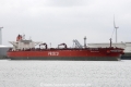 Prisco Alcor OS-090413-01.jpg