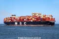 MSC Loreto TL-110824-5.jpg
