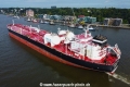 Proteus Tracy TL-240824-6.jpg