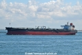 Ridgebury Lindy B OS-080822-09.jpg