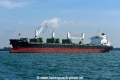 Densa Sea Lion OS-141016-05.jpg