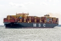 MSC Micol SH-040824-01.jpg