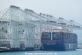 MSC Mina HK-130524.jpg