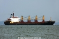 DD Vigor (MS-141010-02).jpg