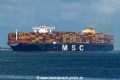 MSC Sixin (MB-260724-2).jpg