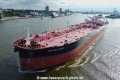 Proteus Tracy TL-240824-5.jpg