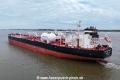 Proteus Tracy KH-240824-6.jpg