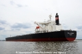 Royal Accord 020712-28.jpg