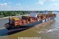 MSC Samar (KB-D260525-04).jpg