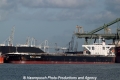 Royal Accord (MM-131113-1).jpg