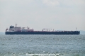 Proteus Philippa OS-181022-02.jpg