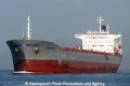 Despina RV-240811-01.jpg