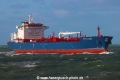 Histria Dione TL-291121-2.jpg