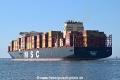 MSC Raya OS-260624-36.jpg