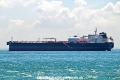 Proteus Tracy OS-241023-18.jpg