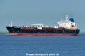 HTM Warrior (KK-020623-1).jpg