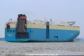 Violet Ace TL-250714-3.jpg
