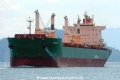 Delicata RV-141215-01.jpg
