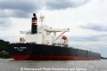 Royal Accord 020712-10.jpg